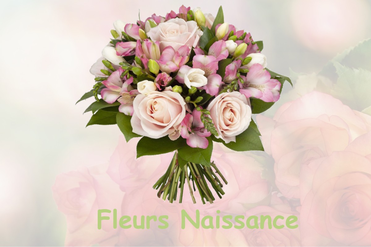 fleurs naissance GOURNAY-SUR-MARNE