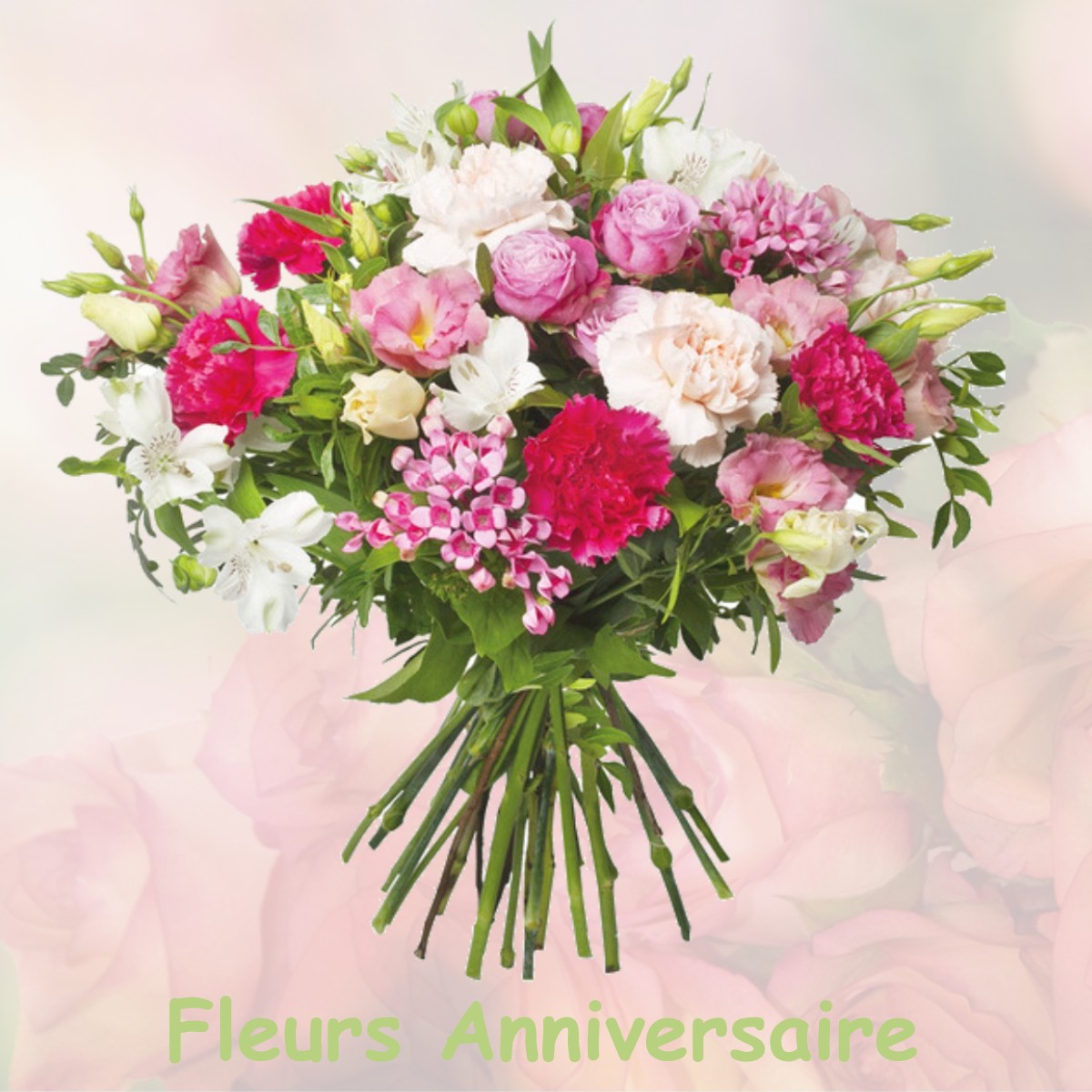 fleurs anniversaire GOURNAY-SUR-MARNE